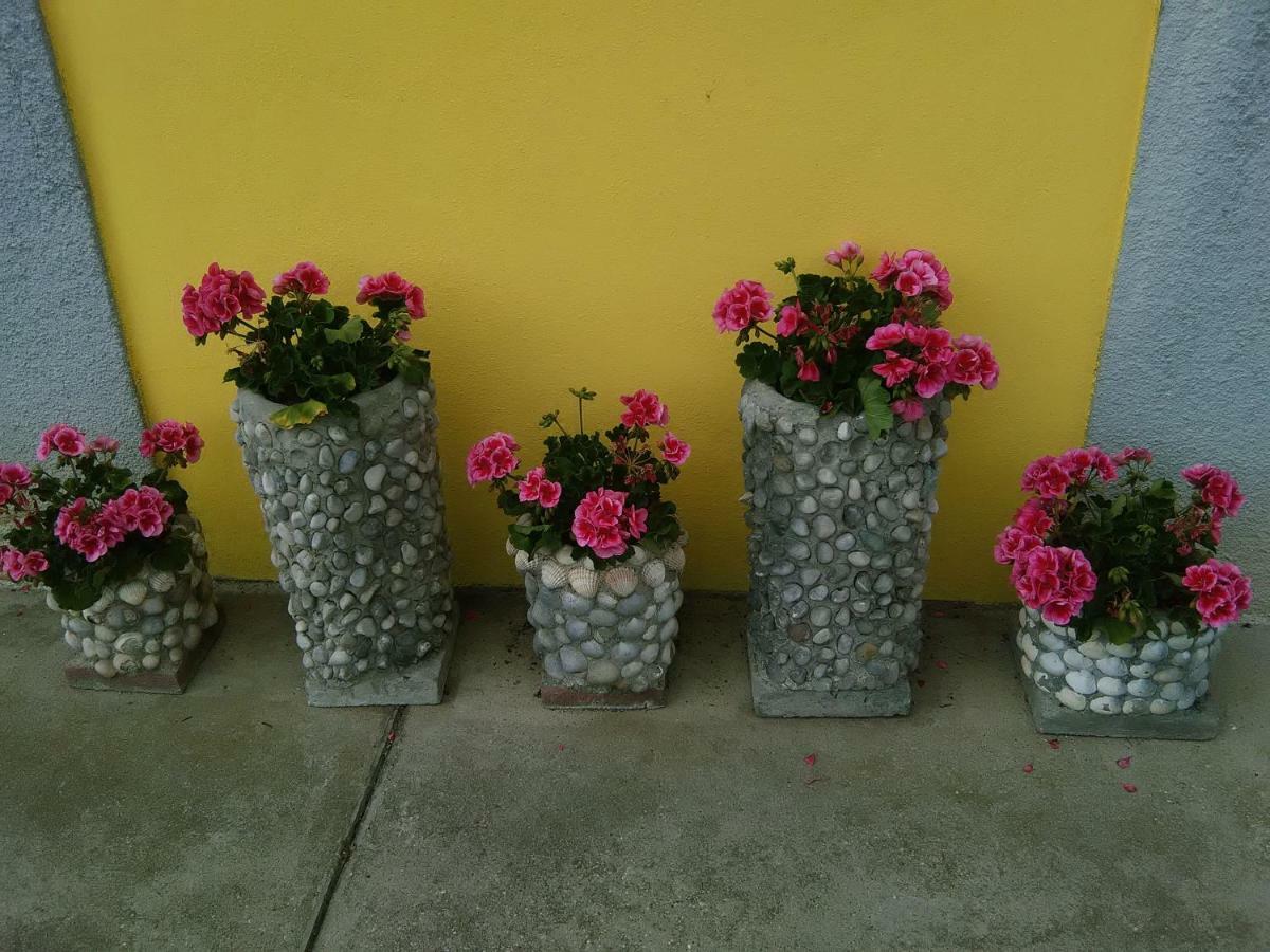 B&B Tisoi Belluno Esterno foto
